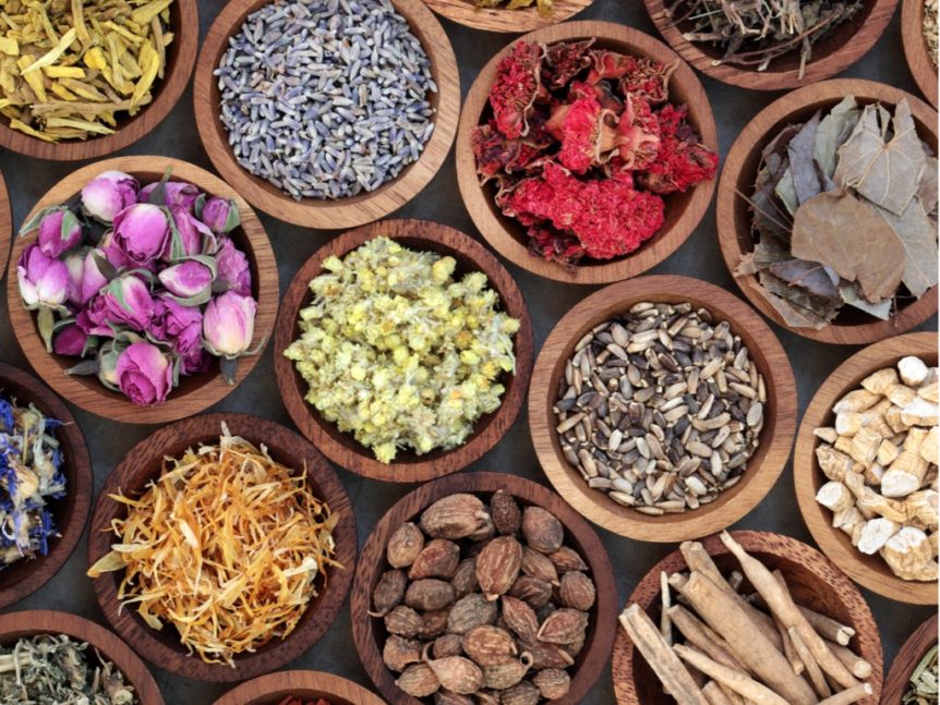 Harnessing the Power of Anti-Inflammatory Herbs and Plants for Medicinal Purposes